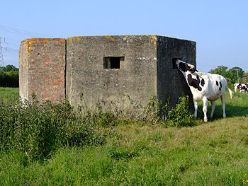 Pillbox on the Royal Military Canal