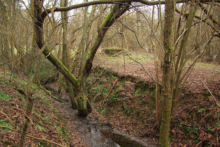Anti-tank ditch at Crowborough